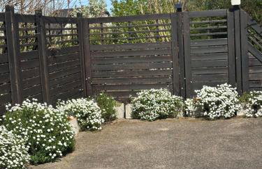 Grand appartement au cœur de la région alsacienne - Photo 5