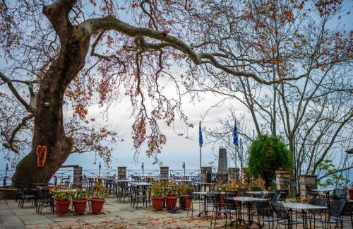 Toma's House - Foto 35