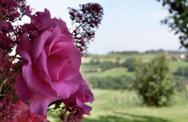 Home, Foiano Della Chiana - Foto 17