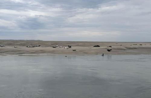 Gîte Les amoureux de la Baie - Foto 30