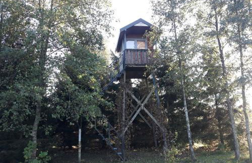 Pucówka na skraju Puszczy Białowieskiej - Foto 22