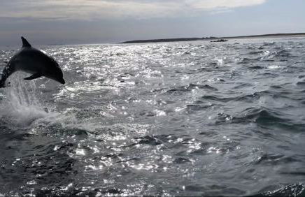 Appartement L'Embarcadère - Photo 69