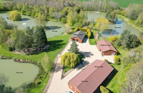 Mallard - Uk41033 - Foto 16