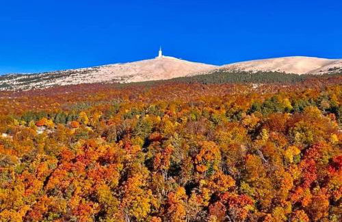 Bastidon, Petite bastide pour 2 avec bassin et jardin privé - Foto 49