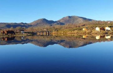 Casa do Sobrado-Gralhas-Montalegre - Photo 30