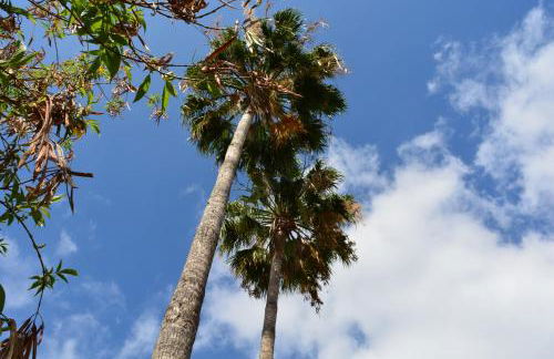 THE TEIDES WINDOW swimming pool LA VENTANA DEL TEIDE - Foto 47