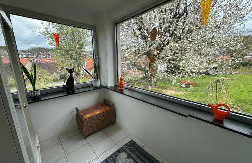 Ferienwohnung Am Kirschbaum Mömlingen - Foto 1