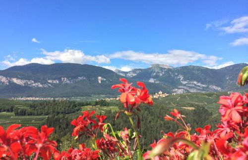 Agritur Casamela - Foto 35