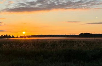 Słowińska Łąka - Foto 45