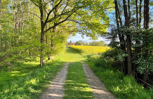 Landidyll Elmenhorst Wohnung 02 - Foto 34