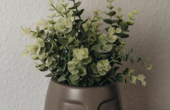 Charmant and Exclusive Apartments im Herzen Saarbrückens - Foto 15