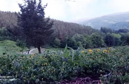 Casa el rey 12 - Apartamentos Buenos Aires y Figueras AR-1419-AS - Foto 31