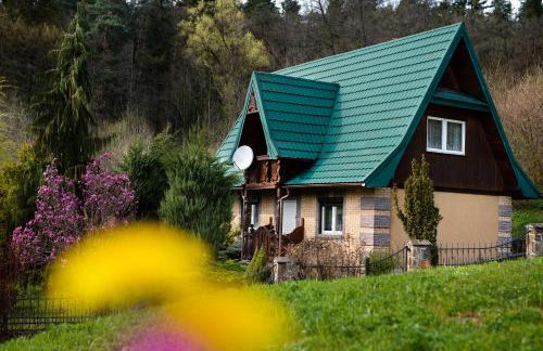 Dzikie południe - Foto 33