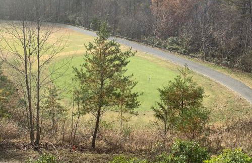 Condo with Stunning Mountain and 6th Green views near Harrahs Cherokee Bryson City - Foto 5