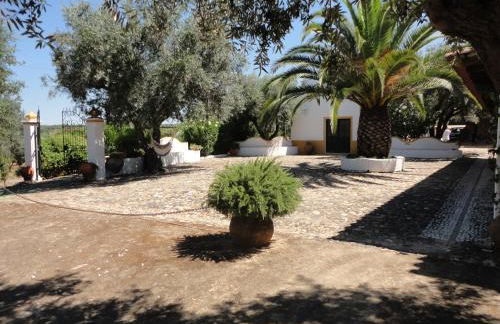 Monte dos Aroeirais - Foto 46