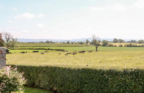 Lovesome Pod - Foto 18