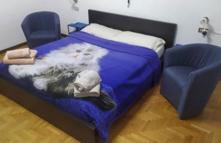 CASA CHIARA - 11 minuti da Milano - 6 minuti da policlinico San Donato Milanese - Foto 5