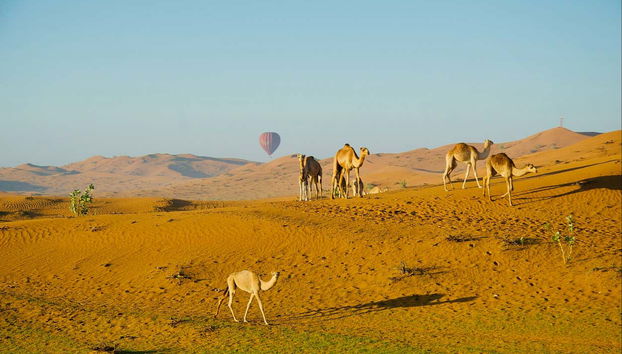 Paisajes del desierto de Ras al Khaimah