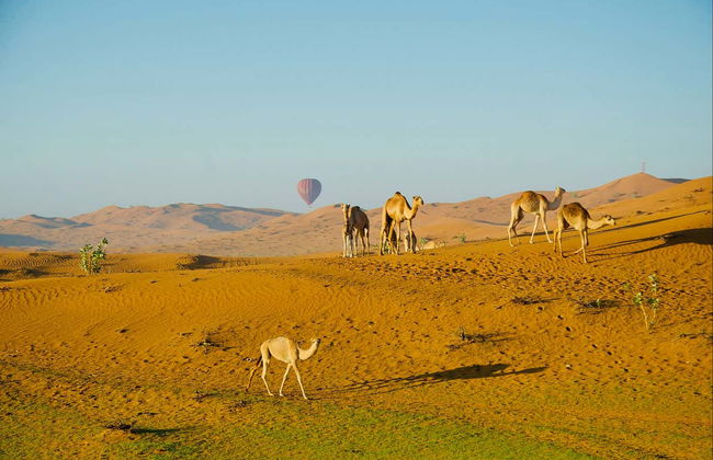 Paseo en globo por el desierto de Ras al Khaimah al amanecer - Foto 5