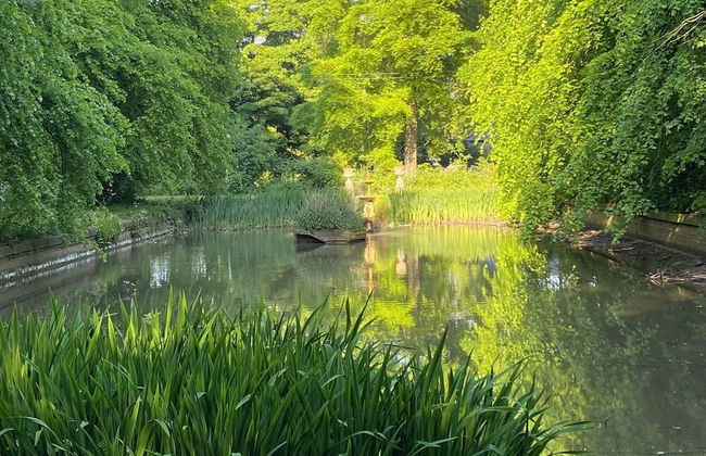 Mansion Annexe - Private 5 Acres-stunning Grounds - Photo 11