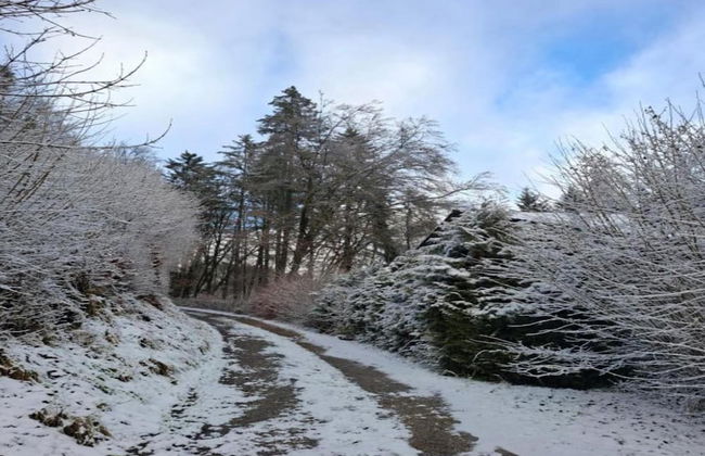 Chalet in Reinskopf With Fireplace and Balcony - Photo 26