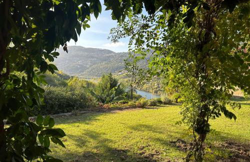 Villa no Douro - Quinta de Pias - Photo 28