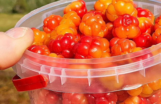 5 Person Holiday Home in Kokelv - Foto 12