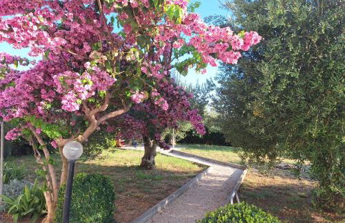 Apartments Donadic III, Caska - Photo 59