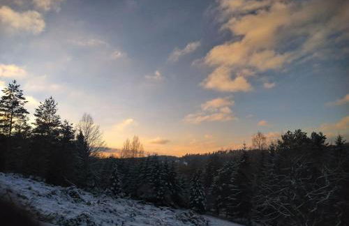 Le gîte du Männele - Into my Hardt - Photo 15