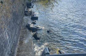 Tolle Inselwohnung mit Seeblick - Foto 11