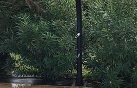 Villa Océan, environnement calme avec piscine chauffée 10 min de l'océan - Foto 11