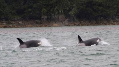 Grandma's House - Large Home - DISCOUNT ON TOURS! - Foto 5