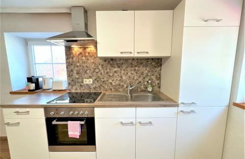 BIG Apartment for YOUR DREAM Vacation Bavarian Forest + NETFLIX - Foto 9