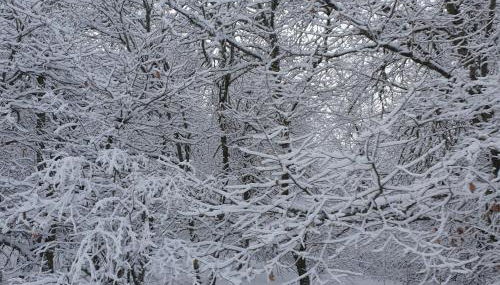 Appartement lumineux 3 chambres, terrasse, proche commerces et ski, avec WiFi - FR-1-589-677 - Foto 4