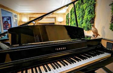 VENI VEDI VICHY climatisé, 50m2 coeur de ville - Photo 42