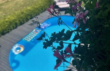 Ferienwohnung Panorama Oberkirn - Foto 51