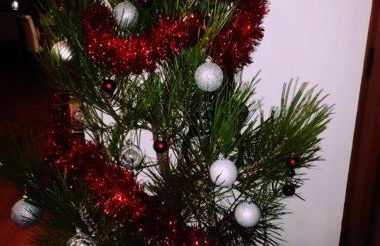 Casa do Azibo - Foto 15