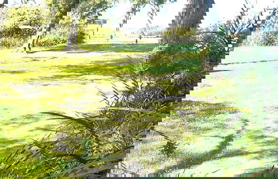 Havana Villas - Foto 56