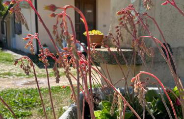 Cuore di Legno Country House - Foto 11