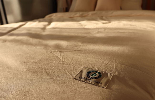 Morning Madrid - Foto 10