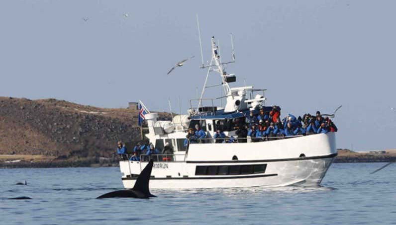 Navigare nelle acque dell'Atlantico del Nord