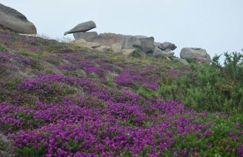 La maison aux Hortensias, 1km de la plage, proche du sillon de Talbert - Foto 25