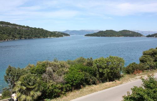 Apartments by the sea Polace, Mljet - 613 - Foto 19