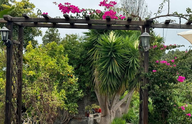 Oasis Hill Botanical Garden - Foto 68