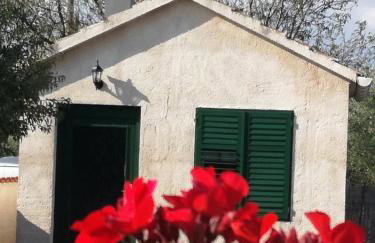 Holiday Home Villa Emma - Photo 37