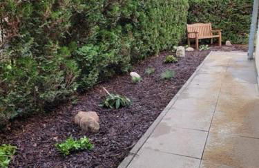 Haus Seerose - Foto 5