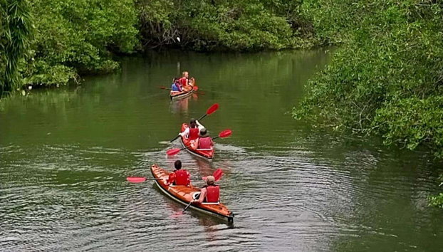 Paraty Bay Kayak Tour - Foto 3, Kayak through some mangroves