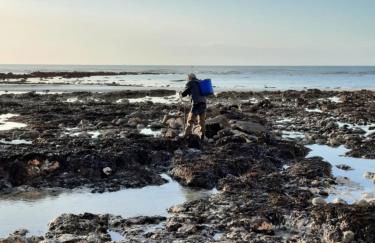 L'Estran - Résidence Pleine Mer - Foto 20