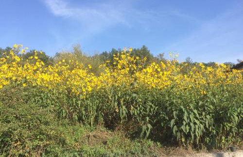 la masseria di Antonio e Teresina - Foto 58