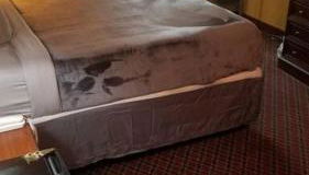 Hotel 2 Queens Beds Hotel Room 127 - Foto 3